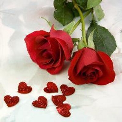 薔薇の棘bot The Styx Twitter