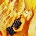 DianaMccreary (@dianamccreary) Twitter profile photo