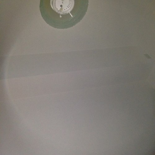 rinrinnonnon's profile picture. 