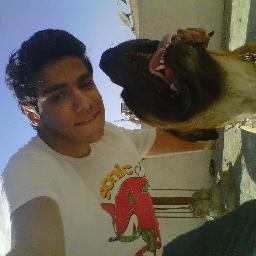 MuhammedRedaa's profile picture. nothing much ..