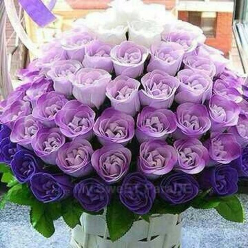 ‏‏نافذه تجاريه ه