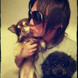 palsystem3514's profile picture. 