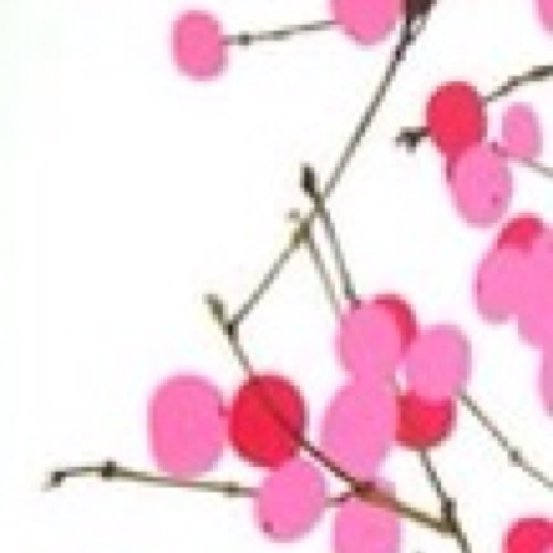 345m111's profile picture. 