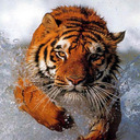 CHARLES Nathan - @charlenathan973 - Twitter