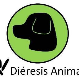Educación & Entrenamiento canino