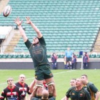 Tristan Veale (@veale01) 's Twitter Profile