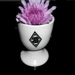 Funkyfohlen's profile picture. 