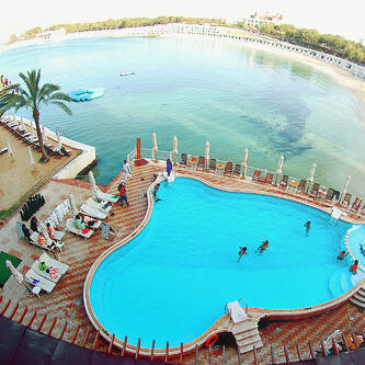 alwasl_UAE99's profile picture. 