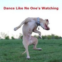 Shauna (@dcmom238) 's Twitter Profile