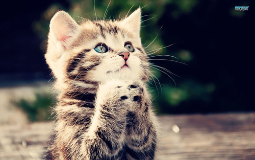 the cutest things you'll ever see.
We always #FollowBack :)