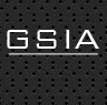GSIA identifies potential strategic surprise through rapid, cost-effective analysis of large volumes of raw data.