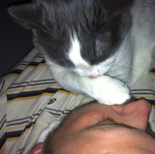 FriItamar's profile picture. 