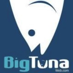 Big_Tuna_Web's profile picture. Big Tuna Web is a full service web design and web marketing company. We work primarily with small businesses and offer solutions tailored to small businesses.
