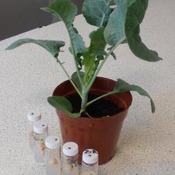NHSG Biology (formerly @centralbiology1)