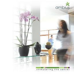 IngridAmbius's profile picture. De eerste ontwerper van een goed gevoel op de werkvloer; door het stimuleren van de zintuigen van uw werknemers, stimuleert u eveneens uw bedrijfsresultaten