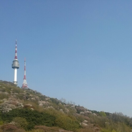 haebalak2's profile picture. 현실에 착륙하기를 거부하며 비행중.