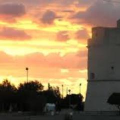 rob31x10's profile picture. 