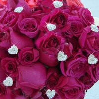 اميرة بكلمتي (@pest1434) Twitter profile photo