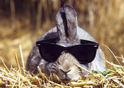 Wij houden van dieren en soms komt er een grappige foto voor langs wil je ze allemaal zien volg mij!!!