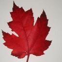 Suzanne Christensen - @Suzwc - Twitter