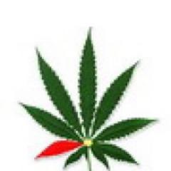 FollowBack!!!) Blogger. Finance/investment/analytics