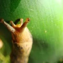 checkcheck15's profile picture. 