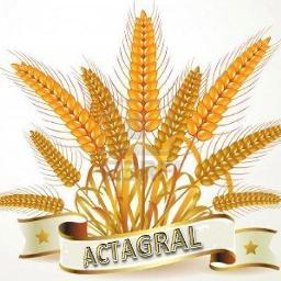 ActAgrAlcom's profile picture. Actualité de L'Agriculture D'Algérie, est un journal électronique qui sert de lien entre les producteurs, les consommateurs et les décideurs.