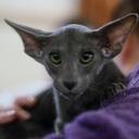 matthew jarman - @matthewjarman2 - Twitter