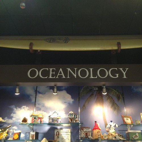 OceanologyStore's profile picture. We are a lifestyle shop and boutique with a huge selection of items! More locations coming soon so be sure to keep an eye out!