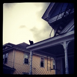 PresProblems's profile picture. Historic preservation is a thing. Know about it.