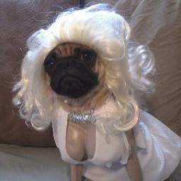 freefollowyesh's profile picture. please follow my reall acc @ohuzarry thankyou ily