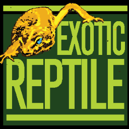 Página Oficial de Exotic Reptile en México 
Venta y
Cuidado de Animales Exóticos