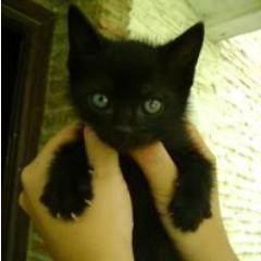 Adel_itaMal's profile picture. Para qué correr si adelante sigue lloviendo :D