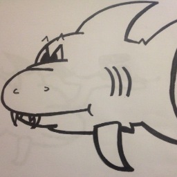 CCOS_Sharks's profile picture. Follow or bookmark this page (https://t.co/N5ZfOhqOka) for updates on the CCOS Sharks swim team.