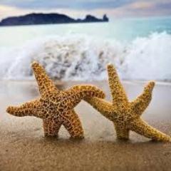 HopelozeTweets's profile picture. hopeloos