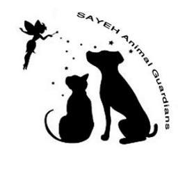 Non-profit animal rescue in Iran,Help us save the pets.
https://t.co/3nsAZX7YhU