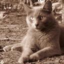 ann bradshaw - @FatLossFactorHQ - Twitter