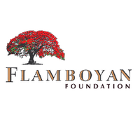 Flamboyan Foundation (@flamboyanfdn) 's Twitter Profile Photo Flamboyan Foundation (@flamboyanfdn) 's Twitter Profile Photo