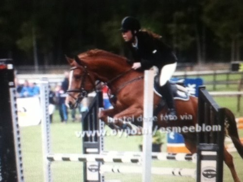 Meerwaarde / GT+ / er zijn 2 meisjes waar ik verschrikkelijk van hou, er zijn 2 meisjes die ik 100% vertrouw, hun staan bij mij op nummer #1 Roos&Jen♥ I♥myhorse