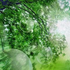 dasha473's profile picture. 