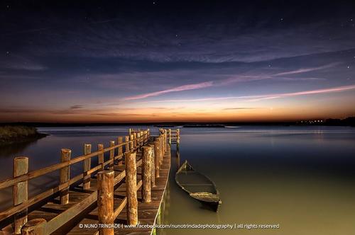 Sestrana's profile picture. 🤔