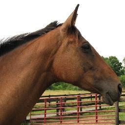 Sailawaymayday's profile picture. 