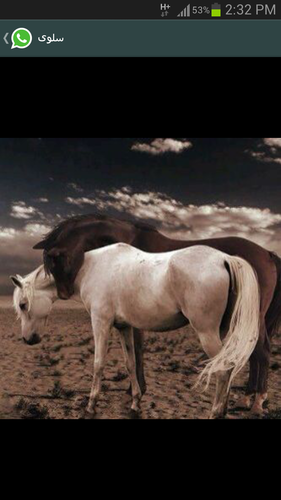 a_a44448's profile picture. 