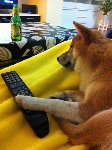 raulibgo84's profile picture. 