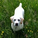 sam clancy - @ClancySam - Twitter