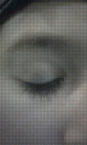 knitknap's profile picture. Christian Knitter Golfer Reader Conservative Gourmet Grammy