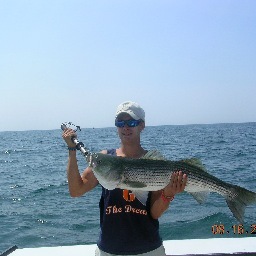 parkermcr's profile picture. UCONN 2015. AEPi