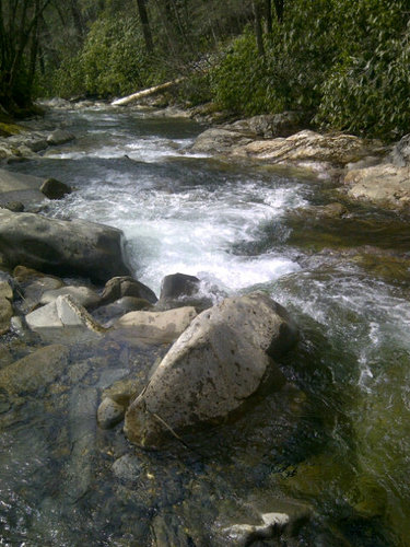 RonVoglewede's profile picture. Inspired by nature's creativity and innovation, love creating novel solutions, foodie, trying to be good father, role model, and husband, self sufficient living