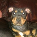 Bryan Hanson - @BryanHanson76 - Twitter