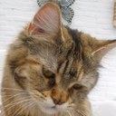 William en Mika - @william_mika - Twitter